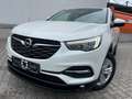 Opel Grandland X 2.HD|APPLE|KAMERA|SHZ|LED|4SEASON Blanc - thumbnail 1