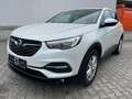 Opel Grandland X 2.HD|APPLE|KAMERA|SHZ|LED|4SEASON Blanc - thumbnail 10