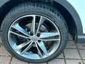 Nissan Qashqai 1.5 dci Visia Weiß - thumbnail 11