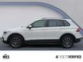 Volkswagen Tiguan Life 2.0 TDI LED+RearView+App-Connect Weiß - thumbnail 3