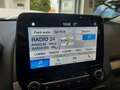 Ford EcoSport EcoSport 1.5 tdci Business SENSORI NEOPATENTATI Argento - thumbnail 8