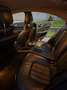 Mercedes-Benz CLS 350 CDI BlueEfficiency 4MATIC Aut. DPF - thumbnail 19
