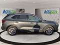 Ford Kuga Titanium Hybrid Grau - thumbnail 5