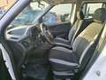 Fiat Doblo Doblo CARGO CH1 1.3 MJT 95CV CON PREZZO REALE! Weiß - thumbnail 11