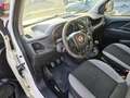 Fiat Doblo Doblo CARGO CH1 1.3 MJT 95CV CON PREZZO REALE! Weiß - thumbnail 12