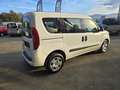Fiat Doblo Doblo CARGO CH1 1.3 MJT 95CV CON PREZZO REALE! Weiß - thumbnail 6