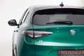 Alfa Romeo Stelvio Tributo Italiano 2,0 16V 280 AT8 Q4 Grün - thumbnail 3