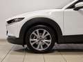 Mazda CX-30 2.0L Skyactiv-G M Hybrid 2WD Exceed Bianco - thumbnail 5