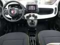 Fiat Panda Cross 1.0 70PS Pandina Schwarz - thumbnail 4
