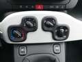 Fiat Panda Cross 1.0 70PS Pandina Schwarz - thumbnail 18