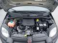 Fiat Panda Cross 1.0 70PS Pandina Schwarz - thumbnail 19