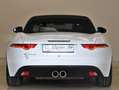 Jaguar F-Type F-TYPE 3.0 V6 340PS Cabrio Memory PAGA 1.Hand Weiß - thumbnail 11