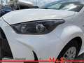 Toyota Yaris 1.5 Hybrid Comfort KLIMA RÜCKFAHRKAMERA Weiß - thumbnail 6