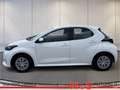 Toyota Yaris 1.5 Hybrid Comfort KLIMA RÜCKFAHRKAMERA Weiß - thumbnail 3