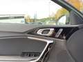 Kia Ceed / cee'd 1.5 T-GDI 140 PS DCT GT-line *Pano*Leder*Tech* Grün - thumbnail 19