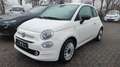 Fiat 500 Dolcevita Hybrid 1,0 GSE, Navi, etc... Weiß - thumbnail 1