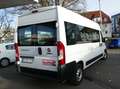 Fiat Ducato Ducato Serie 7 35 L4H2 Shuttle 180MJT Euro 6-Temp Weiß - thumbnail 7