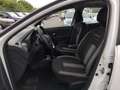 Dacia Sandero II 2017 Stepway Stepway 1.5 dci Wow s&s 90cv Bianco - thumbnail 13