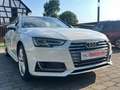 Audi A4 Avant S-line LED NAVI LEDER VIRTUAL  ACC LANE Weiß - thumbnail 7