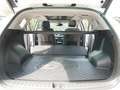 Hyundai TUCSON 1.6 TGDI PREMIUM 4WD AUTOMATIK PANORAMAD. Wit - thumbnail 15