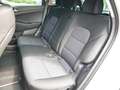 Hyundai TUCSON 1.6 TGDI PREMIUM 4WD AUTOMATIK PANORAMAD. Wit - thumbnail 12