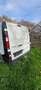Renault Trafic 1.6 dCi 27 L1H1 Confort Wit - thumbnail 4