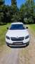 Skoda Octavia Combi 2.0 TDI (Green tec) 4x4 DSG Scout - thumbnail 1