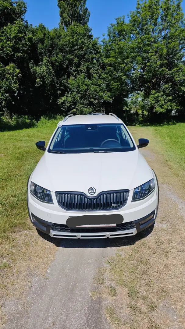 Skoda Octavia Combi 2.0 TDI (Green tec) 4x4 DSG Scout - 1