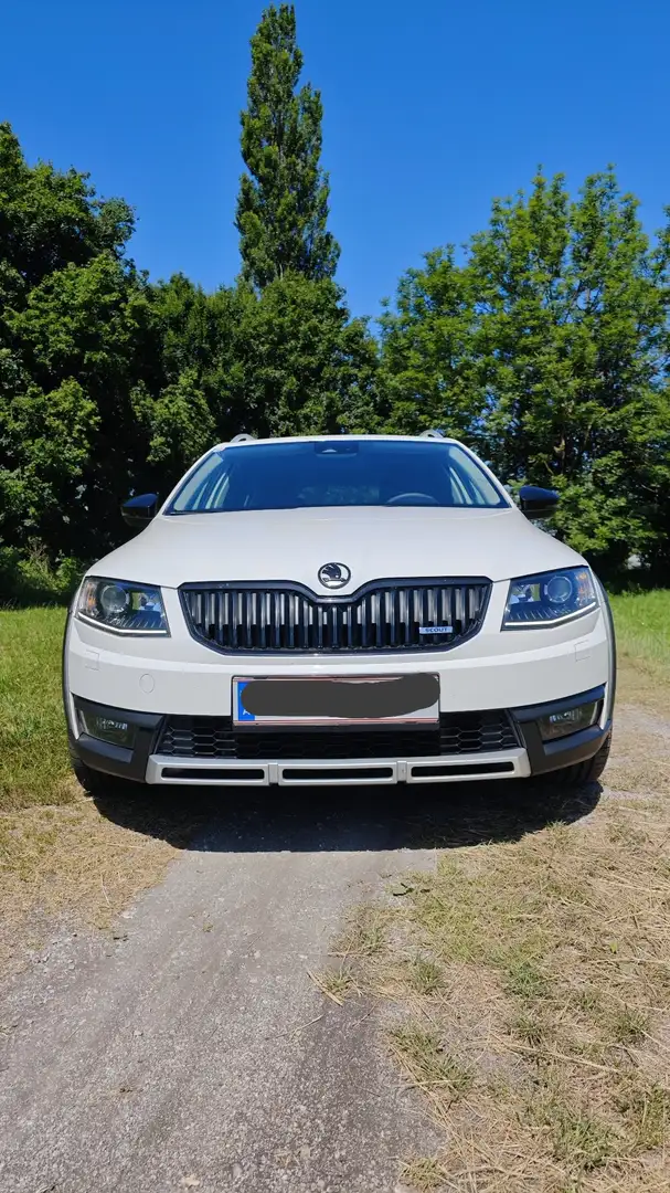 Skoda Octavia Combi 2.0 TDI (Green tec) 4x4 DSG Scout - 2