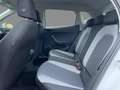SEAT Ibiza 1.0 TSI Style 5-Gang Beats Sitzhzg Kamera Weiß - thumbnail 8