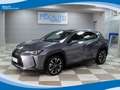 Lexus UX 250h 2.0 150cv 2WD Executive CVT EU6D-Temp Grigio - thumbnail 1