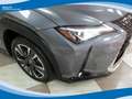 Lexus UX 250h 2.0 150cv 2WD Executive CVT EU6D-Temp Grigio - thumbnail 13