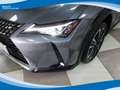 Lexus UX 250h 2.0 150cv 2WD Executive CVT EU6D-Temp Grigio - thumbnail 12