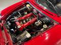 Alfa Romeo Spider Spider 1.6 **UFF. ITA - TARGHE ORIG.** Rot - thumbnail 6