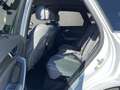 Audi SQ5 TDI tiptronic Head-Up, Pano B&O Wit - thumbnail 13