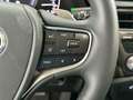 Lexus ES 300 2.5 300h Premium Gris - thumbnail 17