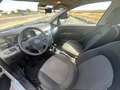 Fiat Grande Punto GRANDE PUNTO 1.2 8V 65 DYNAMIC (KIT NOVETUD) Weiß - thumbnail 5