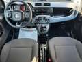 Fiat Panda Panda 1.0 hybrid Cross Grigio - thumbnail 9