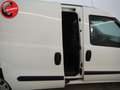Fiat Doblo Doblò 1.6 MJT  PL-TN Cargo Maxi 3 POSTI (+IVA) Weiß - thumbnail 13
