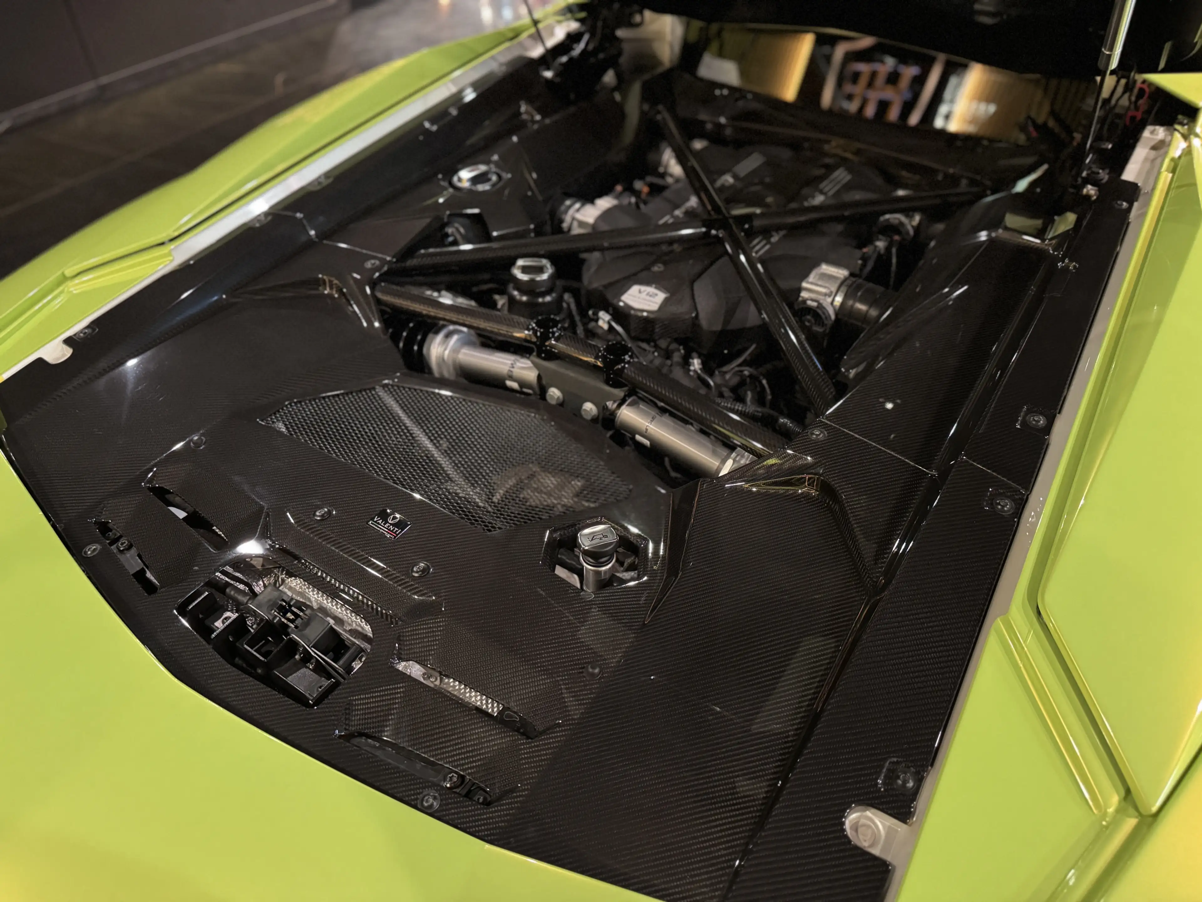 Lamborghini Aventador S LP740-4 AdPersonam*Lift*Carbon — photo 10