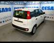 Fiat New Panda 1.0 FireFly Hybrid Wit - thumbnail 3