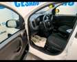 Fiat New Panda 1.0 FireFly Hybrid Wit - thumbnail 5