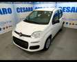 Fiat New Panda 1.0 FireFly Hybrid Wit - thumbnail 2