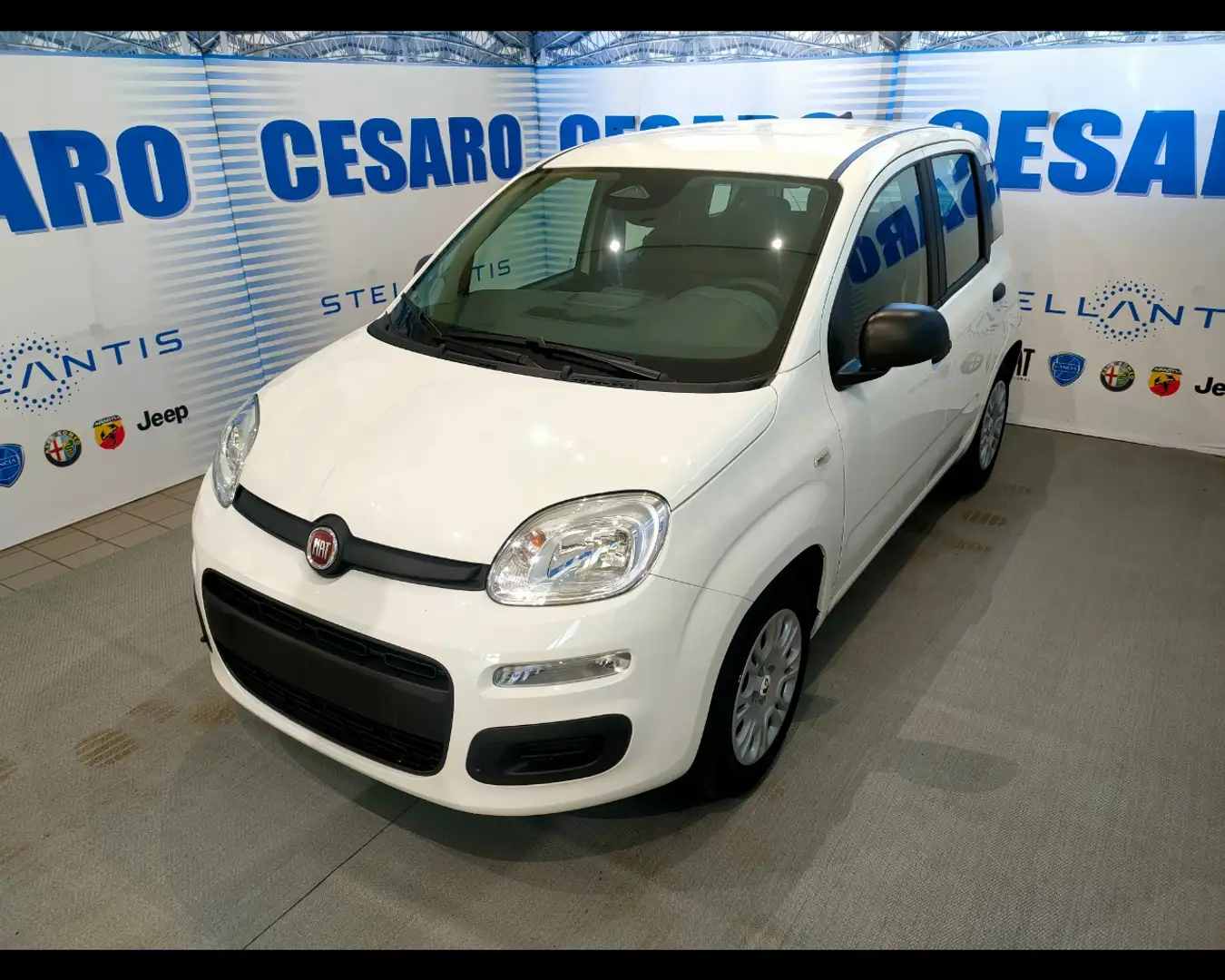Fiat New Panda 1.0 FireFly Hybrid Wit - 2