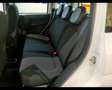 Fiat New Panda 1.0 FireFly Hybrid Wit - thumbnail 19