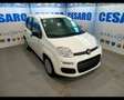 Fiat New Panda 1.0 FireFly Hybrid Wit - thumbnail 1