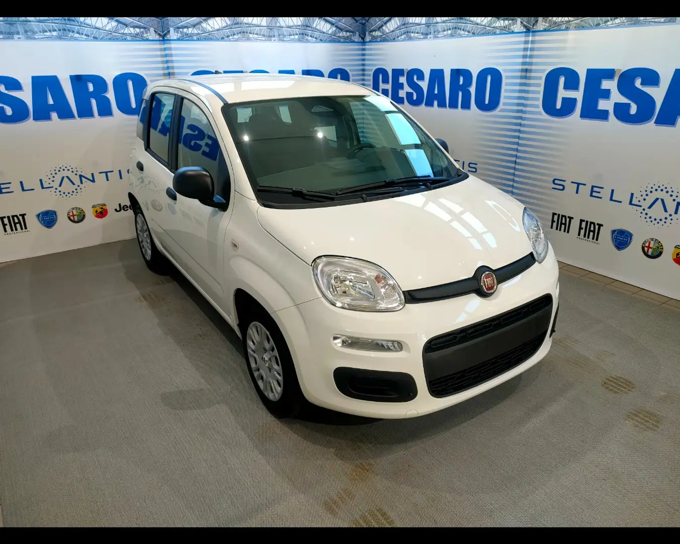 Fiat New Panda 1.0 FireFly Hybrid Wit - 1