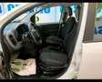 Fiat New Panda 1.0 FireFly Hybrid Wit - thumbnail 15