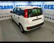 Fiat New Panda 1.0 FireFly Hybrid Wit - thumbnail 4