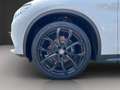 Alfa Romeo Stelvio 2.2 Diesel 16V AT8-Q4 Super Weiß - thumbnail 13